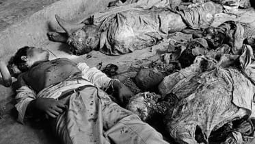 killing of intellectuals