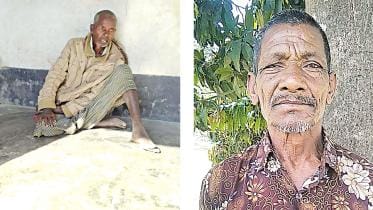 Koras of the War.jpg