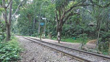 lawachara forest.jpg