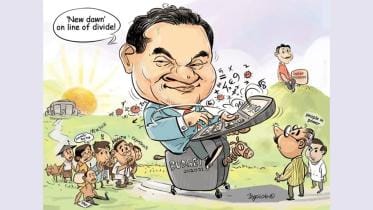 line of division cartoon.JPG