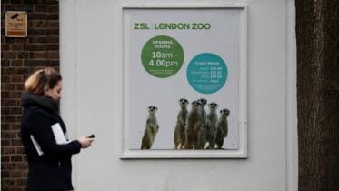 London Zoo reopens after fire that killed aardvark, meerkats