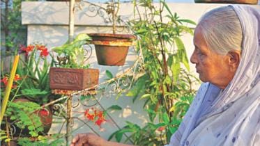 Loving and Living with Plants