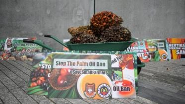malaysia-palm-oil-afp-wb.jpg