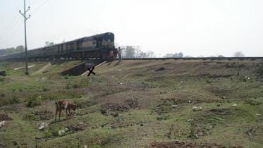Mass grave golahat 1.jpg