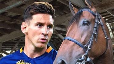 messi horse NNS.jpg