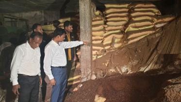 Production of toxic poultry feed