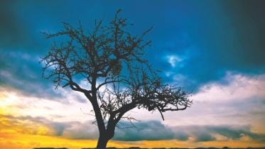 Moonshine Mystery.jpg