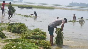 Moulvibazar-flood-pic-web.jpg