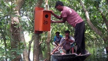 Moulvibazar Wild birds breeding