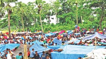 My childhood's taal-patar bashi