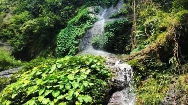 Mirsharai waterfalls