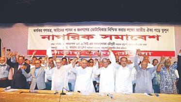 National Unity Process