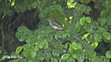 NIB photo Sep 27.jpg