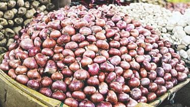 India bans onion exports