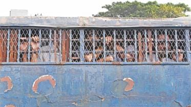 Pandemic and prisons.jpg