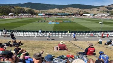 Panoramic view of the field