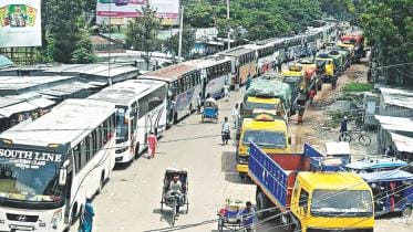 paturia tailback.jpg