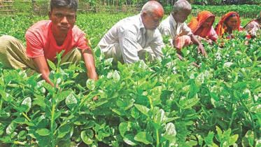 rajshahi university student.jpg