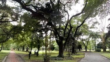 Ramna-park.JPG