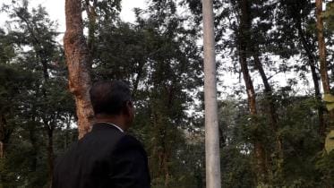 Reserve forest-1.jpg