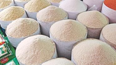 Govt mulling rice export