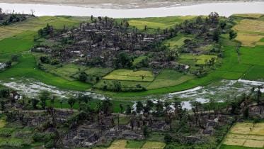 rohingya-web_21.jpg