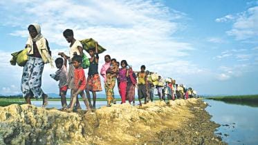 rohingya crisis.jpg