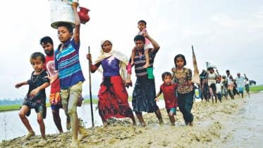 rohingya crisis.jpg