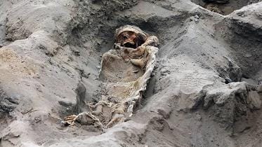 sacrificed children wb.jpg