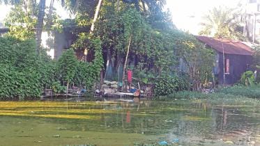 Save Gupinathpur pond