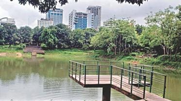 social responsibility