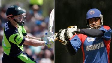 Porterfield and Shenwari