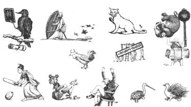 Sukumar's Myth and Magic