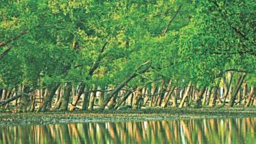 sundarban_0.jpg