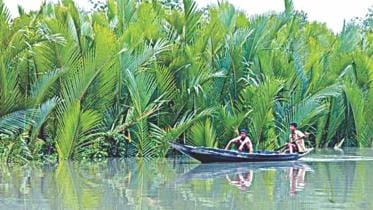 sundarban.jpg