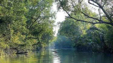 Fishing in Sundarban banned