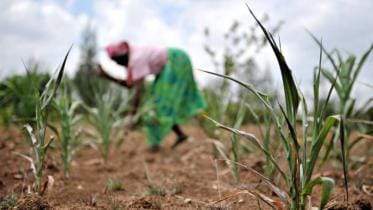 Sustainable livelihood