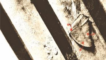 Talking to children about sexual abuse