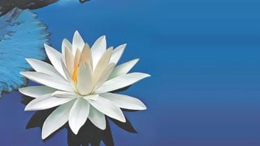 The language of flowers