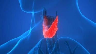 Thyroid Gland disorders