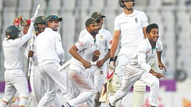 tigers test match.jpg