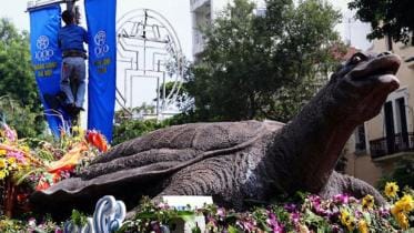 Turtle-Hanoi.jpg