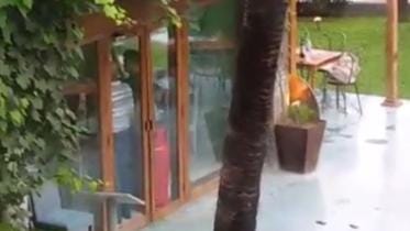 Dhaka-hostages-video