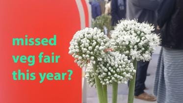 National Vegetable Fair 2018