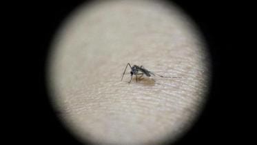 zika-virus.jpg