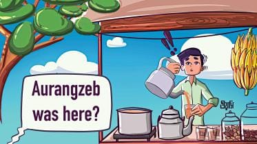 aurogozeb.jpg