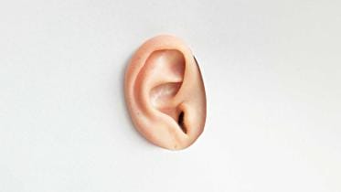 ear.jpg