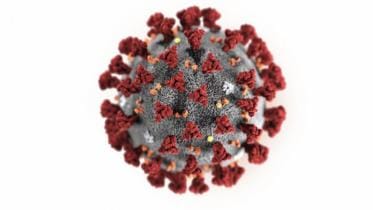 coronavirus_2_2.jpg