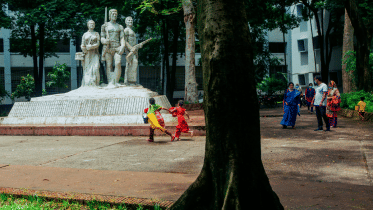 what is freedom to you