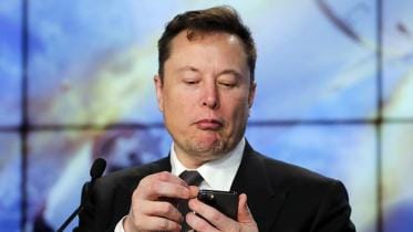 musk_web_0.jpg